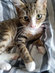 Eccentric nickname names like Buffy, Saffy, Bunty, Tiggy, etc.