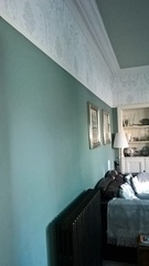 TO ask what colour your living room is?