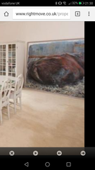 Weird picture (rightmove)