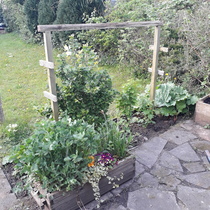 Allotment/Veg Patch Thread 12! Plotmenters hoping for better weather