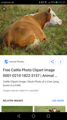 Weird picture (rightmove)