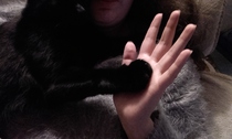or did we get sold defective cats?