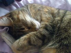 My darling girl was killed last night