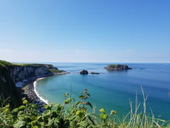 Swagger Inn 155 - it’s Springtime, time to frolic and gambol with the HBFs