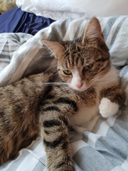 Eccentric nickname names like Buffy, Saffy, Bunty, Tiggy, etc.