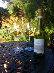 Week 3 - decision-making time!