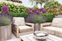 If I want a garden like this what plants do I need?