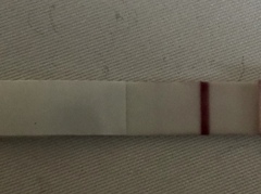 TTC after miscarriage Thread 21. JKS