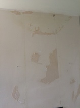 Another damp on chimney breast query