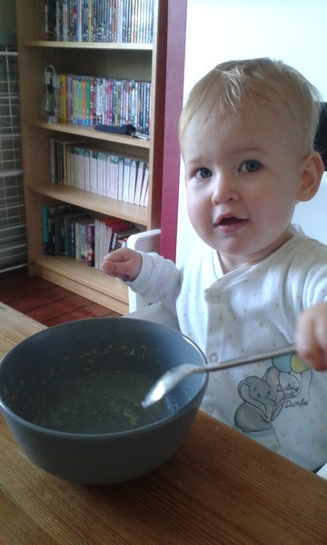 Highchair for BLW
