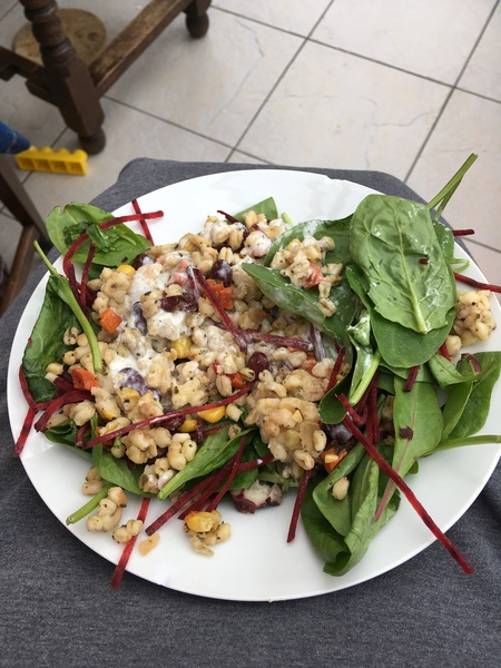 I’m starting Jane Plan on Monday..