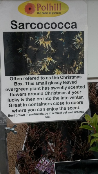To think Asda need a kick up the arse for this?