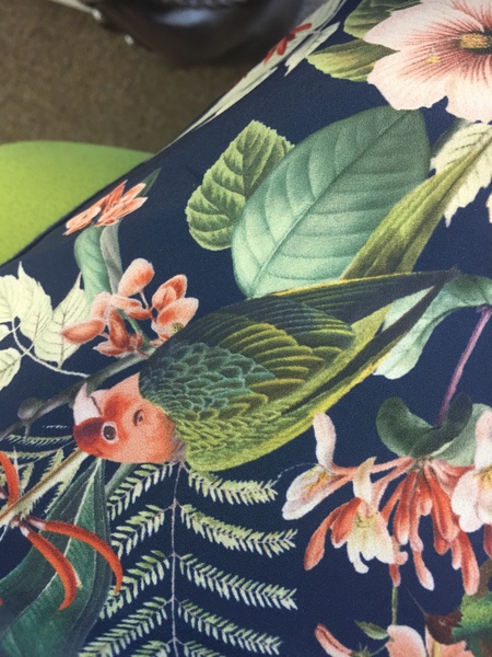 The Friendly Frugaleers, halfway through June!