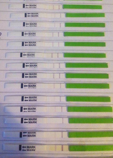 TTC after miscarriage Thread 21. JKS