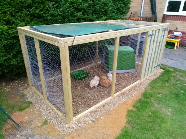 Photos of your chooks and runs please?