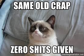 Neighbours have put cat spikes along fence - what are my rights?