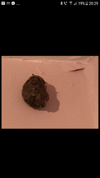 To not let DD back in her room tonight? Freaked out.... what is this?
