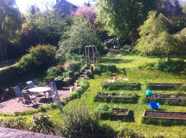 Week 4 - Low Carb Bootcamp - where we're KOKOing!