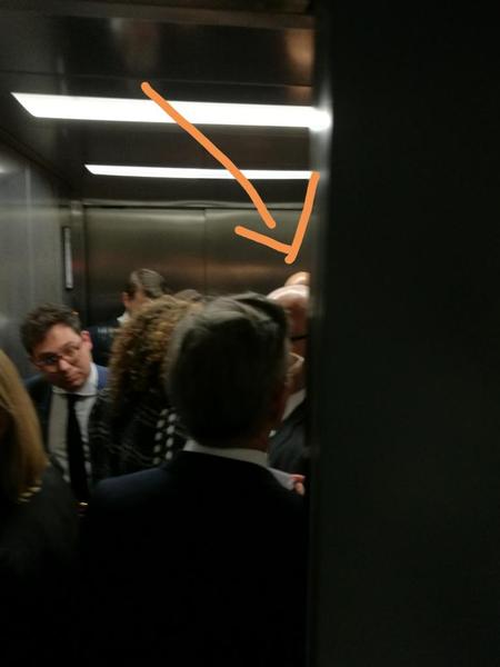 Westminstenders: Rebel or Reveal