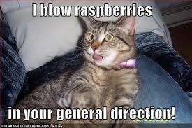 to laugh at snapped and farted