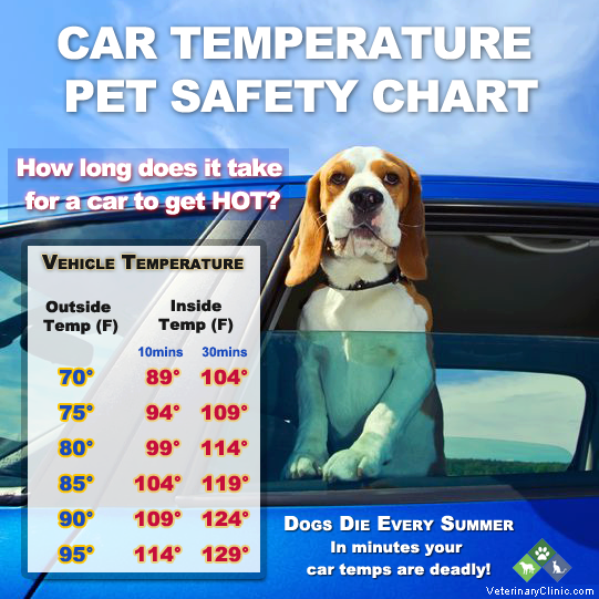 To think if you lock your dogs in a sweltering car...