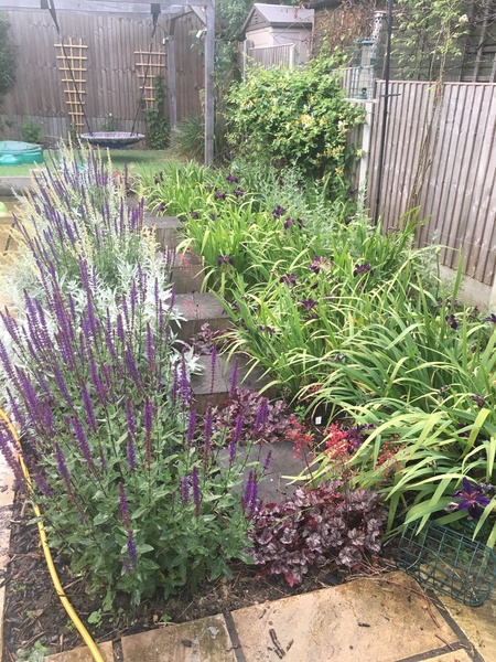 The Friendly Frugaleers, halfway through June!