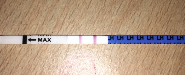 TTC After Pregnancy Loss Thread 22.