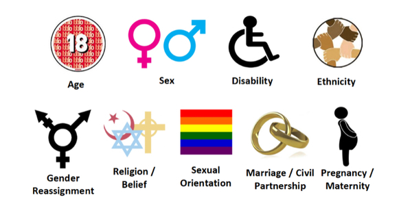 Does your Local Authority Equality Policy exclude sex as a protected characteristic?