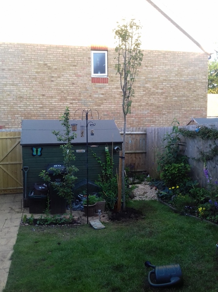 Frulgaleers - Jumping  into June