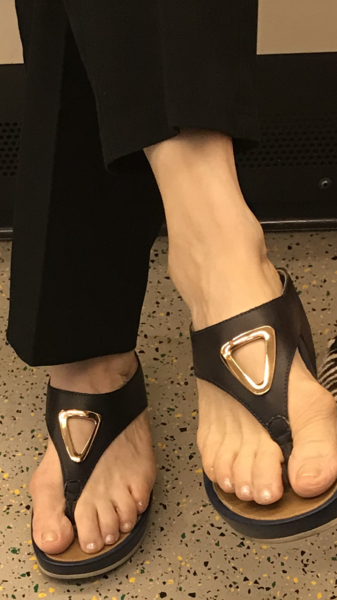 Has anyone seen these fabulous sandals - I’m going crazy looking for them