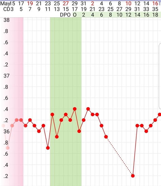 Implantation dip?
