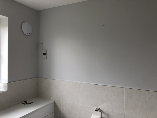 Has anyone found a shade of Grey paint that looks grey?