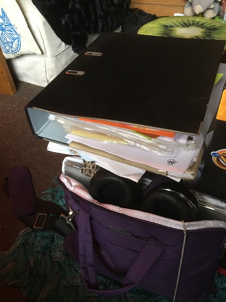 The Gender Critical Autistic Women’s Thread