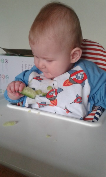 Highchair for BLW
