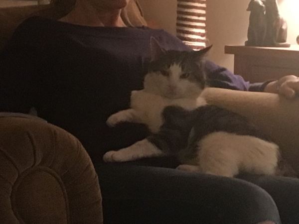 Say hello to Mr TC