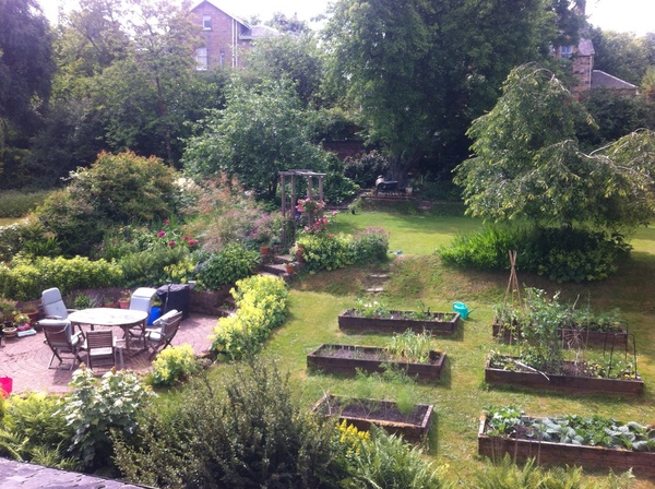 Allotment/Veg Patch Thread 12! Plotmenters hoping for better weather