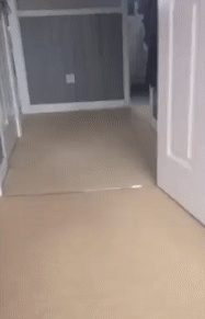 Swagger Inn 156 - The Weather Is Getting Hot, The HBFs Will Always Be Hotter