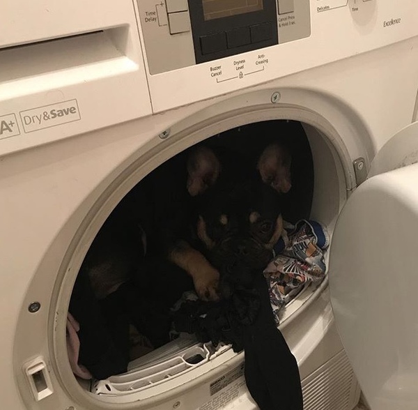 What do you add to your laundry? Find out what Mumsnet users told Fairy Non Bio