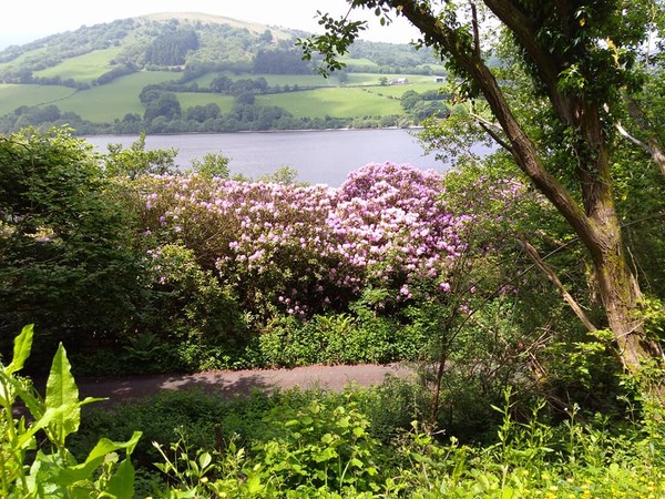 The one with the brief glimpse of summer. It’s countdown to Christmas thread 3!