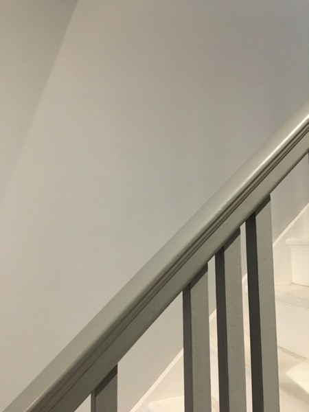 Has anyone found a shade of Grey paint that looks grey?