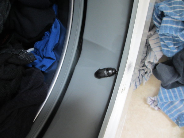 Frulgaleers - Jumping  into June