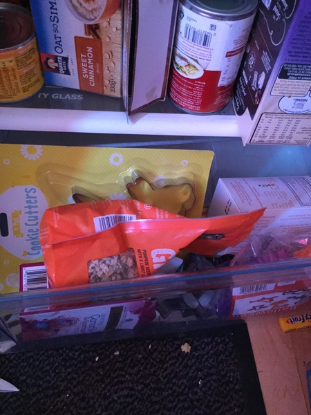 Please help me. My house is disgusting