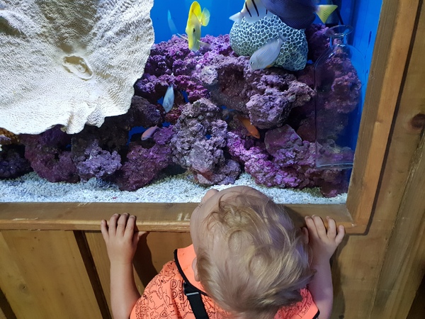 To tell you about my first night with my son?