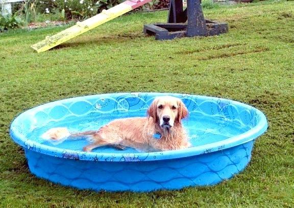 Neighbours’ swimming pool