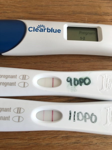 TTC After Pregnancy Loss Thread 22.