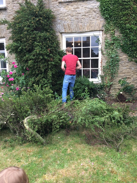 Does anyone have a ceanothus Yankee Point?