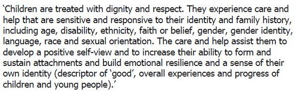 Does your Local Authority Equality Policy exclude sex as a protected characteristic?