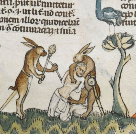 BUNFIGHT HERE