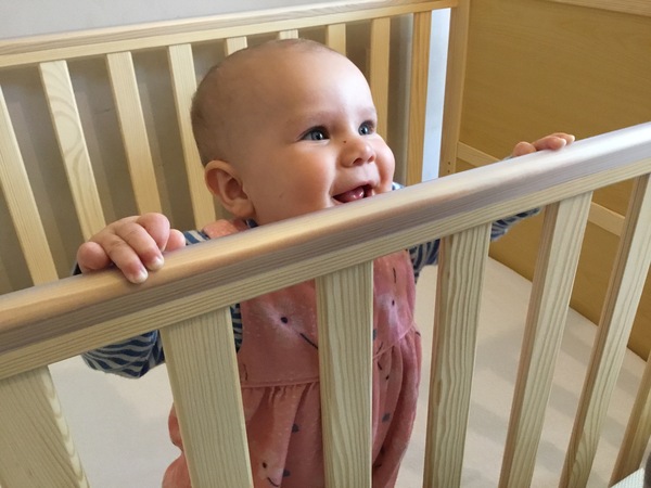 Frulgaleers - Jumping  into June