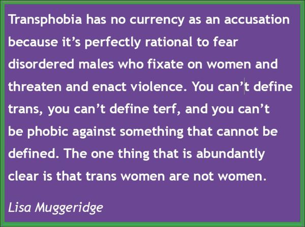 Fake Lisa Muggeridge account